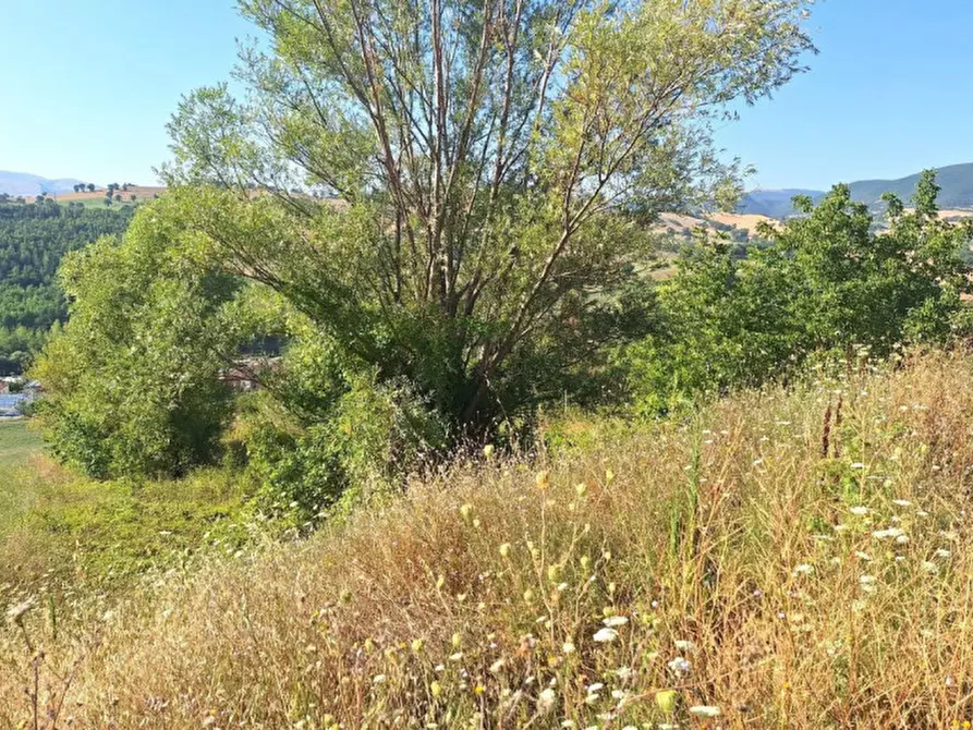 Immagine 5 di Terreno in vendita  in Via Vallicelle, N. Snc a Camerino