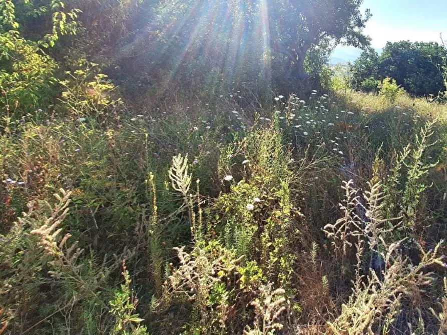 Immagine 8 di Terreno in vendita  in Via Vallicelle, N. Snc a Camerino