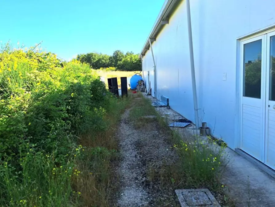 Immagine 8 di Capannone industriale in vendita  in San Terenziano, N. Snc a Gualdo Cattaneo
