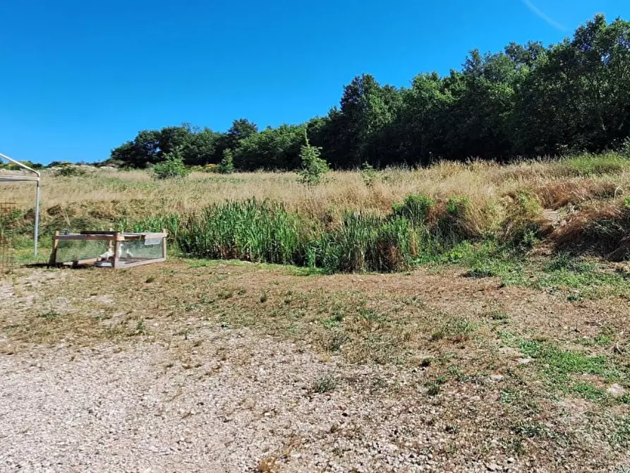 Immagine 11 di Capannone industriale in vendita  in San Terenziano, N. Snc a Gualdo Cattaneo
