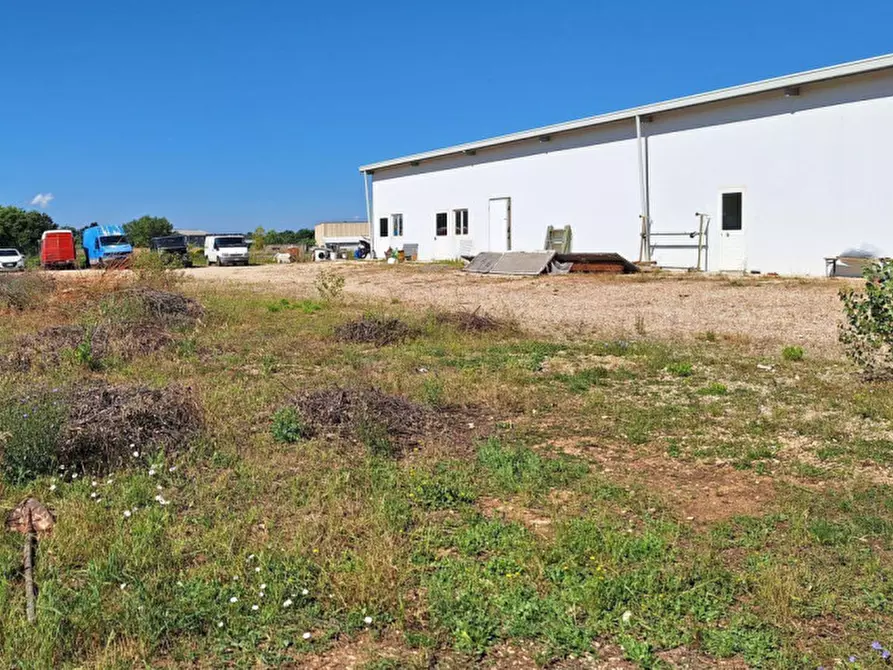 Immagine 14 di Capannone industriale in vendita  in San Terenziano, N. Snc a Gualdo Cattaneo