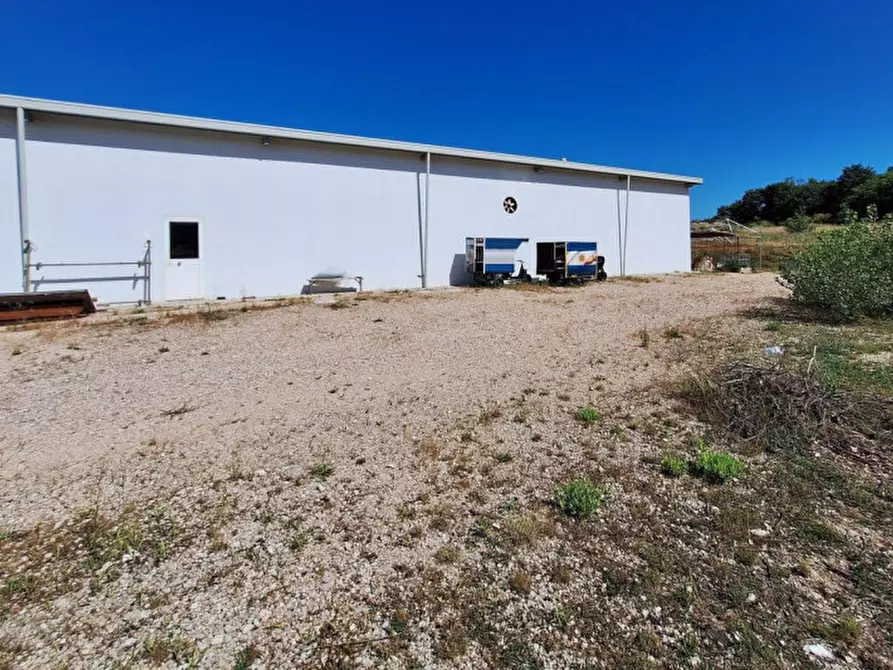 Immagine 17 di Capannone industriale in vendita  in San Terenziano, N. Snc a Gualdo Cattaneo