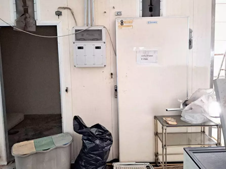 Immagine 18 di Capannone industriale in vendita  in San Terenziano, N. Snc a Gualdo Cattaneo