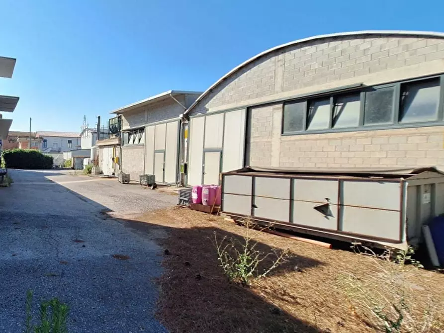 Immagine 5 di Capannone industriale in vendita  in Via Gramsci, N. 370-372-374-376-378-380 a San Miniato