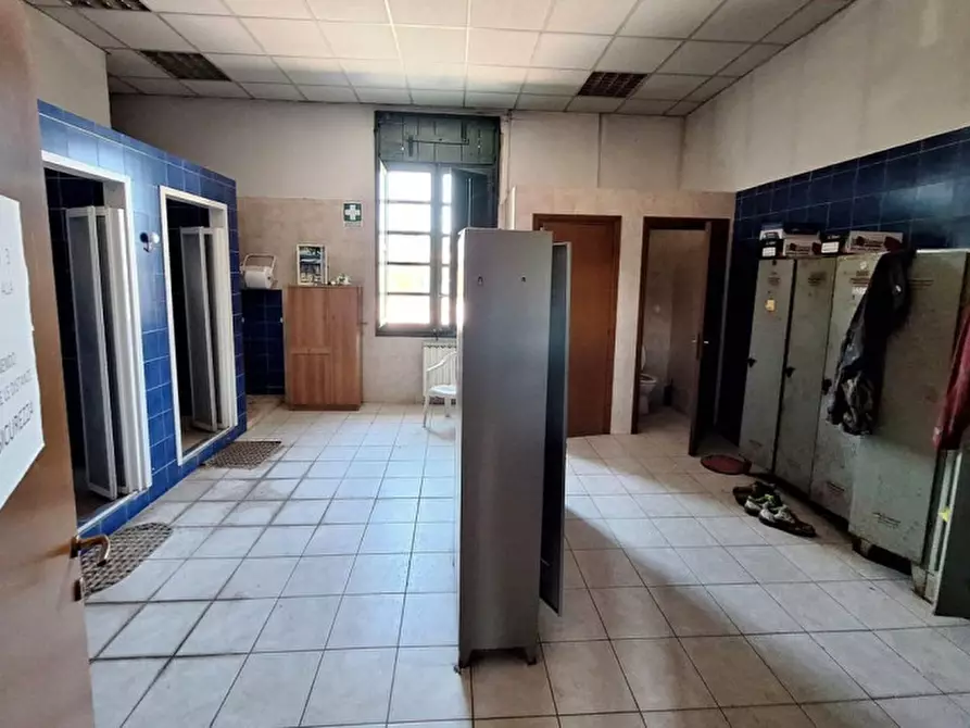 Immagine 19 di Capannone industriale in vendita  in Via Gramsci, N. 370-372-374-376-378-380 a San Miniato