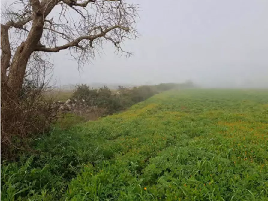 Immagine 3 di Terreno in vendita  in Via Ghermidita, N. snc a Corigliano D'otranto