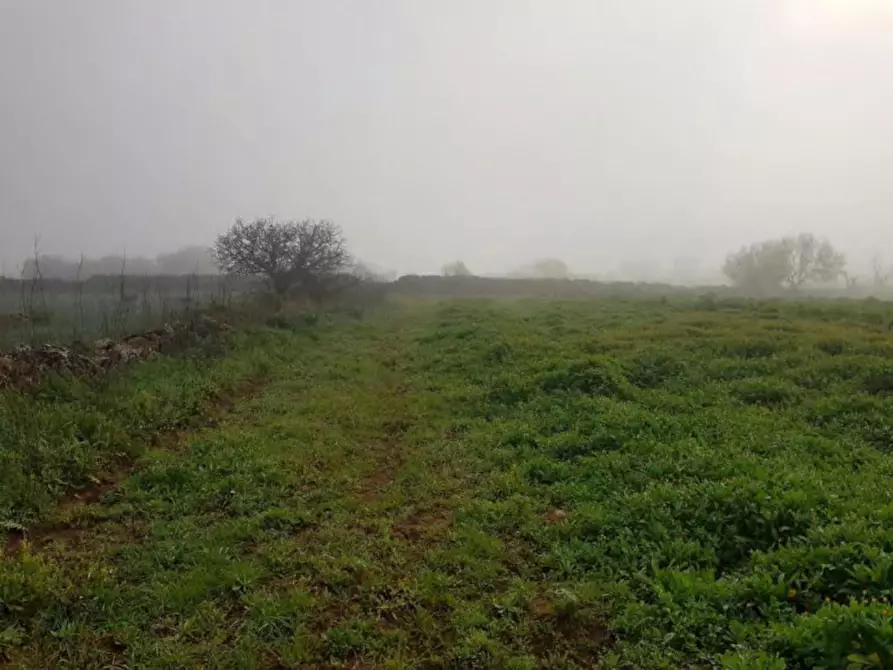 Immagine 4 di Terreno in vendita  in Via Ghermidita, N. snc a Corigliano D'otranto