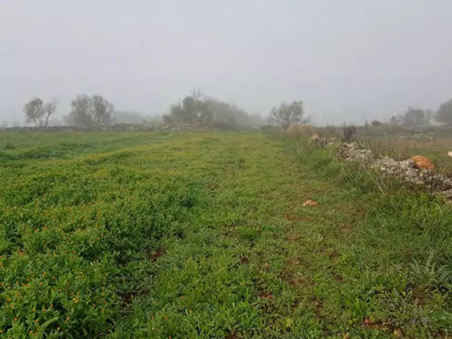 Immagine 5 di Terreno in vendita  in Via Ghermidita, N. snc a Corigliano D'otranto