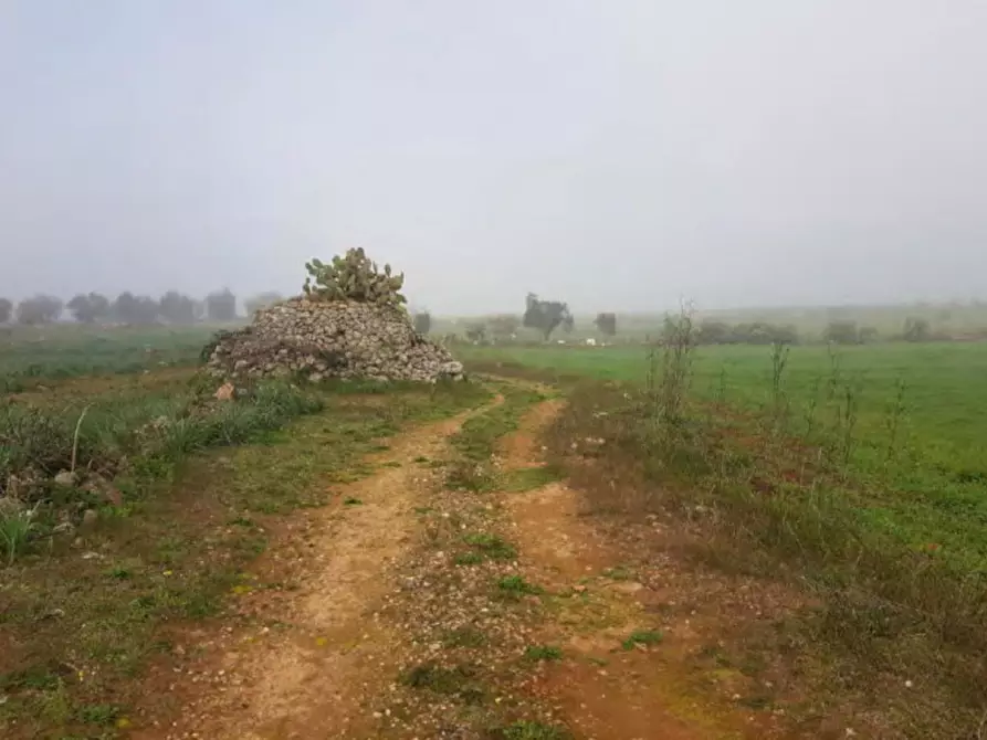 Immagine 3 di Terreno in vendita  in Via Ghermidita, N. snc a Corigliano D'otranto