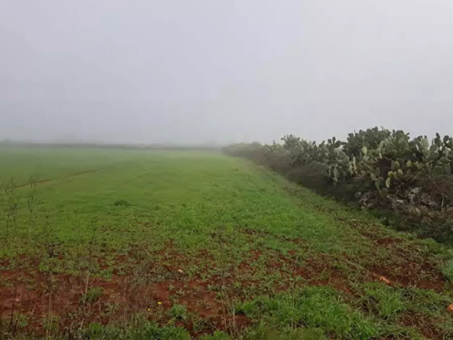 Immagine 4 di Terreno in vendita  in Via Ghermidita, N. snc a Corigliano D'otranto