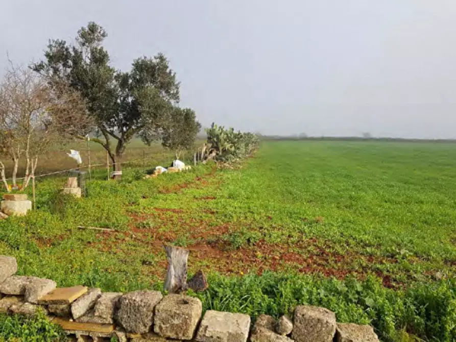 Immagine 5 di Terreno in vendita  in Via Ghermidita, N. snc a Corigliano D'otranto