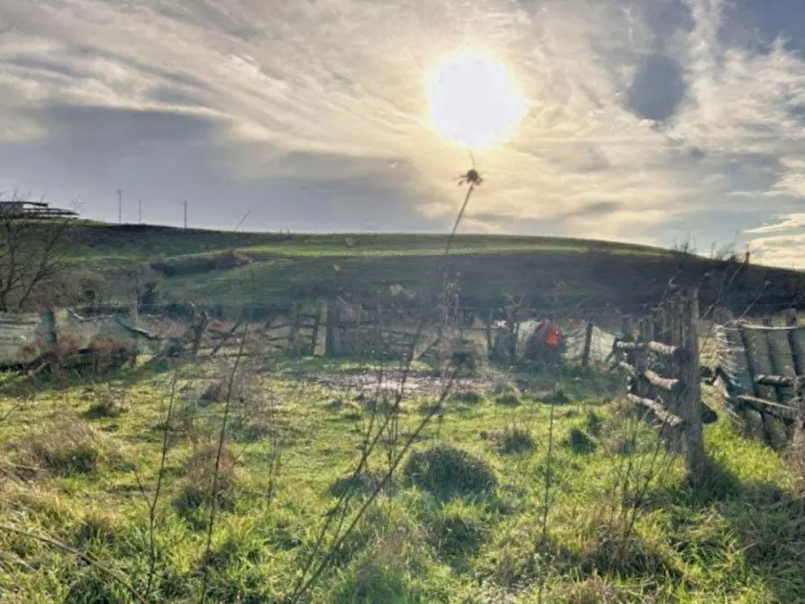 Immagine 7 di Terreno in vendita  in Loc. Castellaccio, Via San Procolo (S.P. 163), N. snc a Paliano