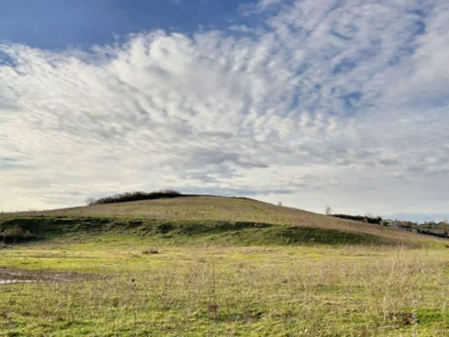 Immagine 8 di Terreno in vendita  in Loc. Castellaccio, Via San Procolo (S.P. 163), N. snc a Paliano