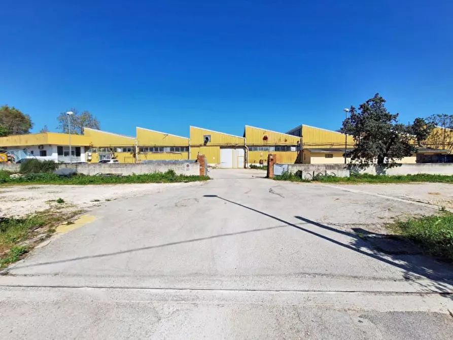 Immagine 4 di Capannone industriale in vendita  in Zona industriale-artigianale G.Brodolini, SP 77, N. 14 a Loreto
