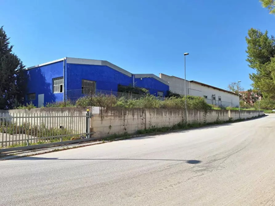 Immagine 7 di Capannone industriale in vendita  in Zona industriale-artigianale G.Brodolini, SP 77, N. 14 a Loreto