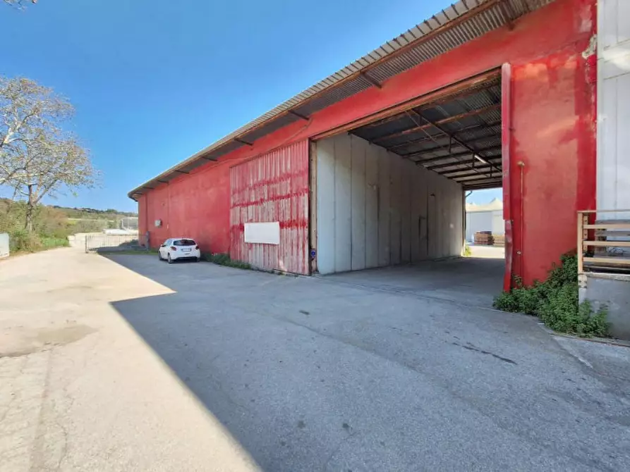 Immagine 8 di Capannone industriale in vendita  in Zona industriale-artigianale G.Brodolini, SP 77, N. 14 a Loreto