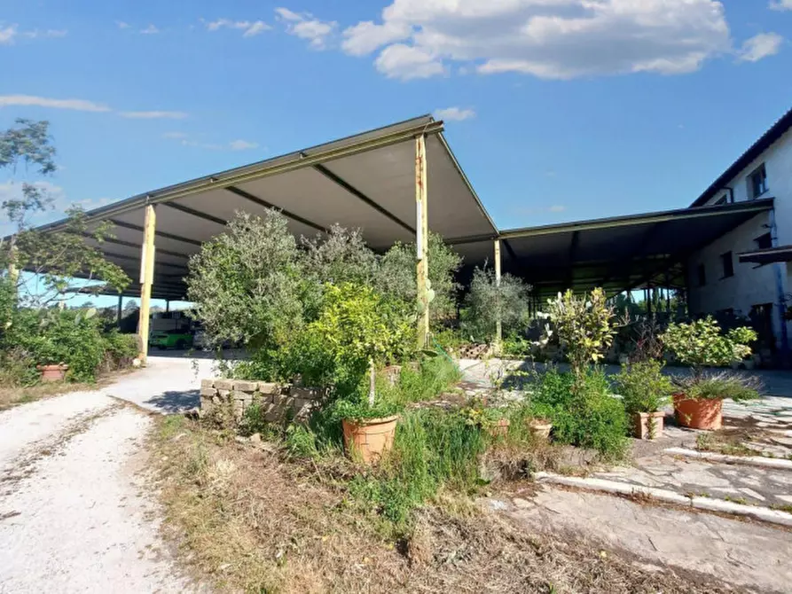 Immagine 5 di Rustico / casale in vendita  in Via della Giustiniana, N. 405 a Roma