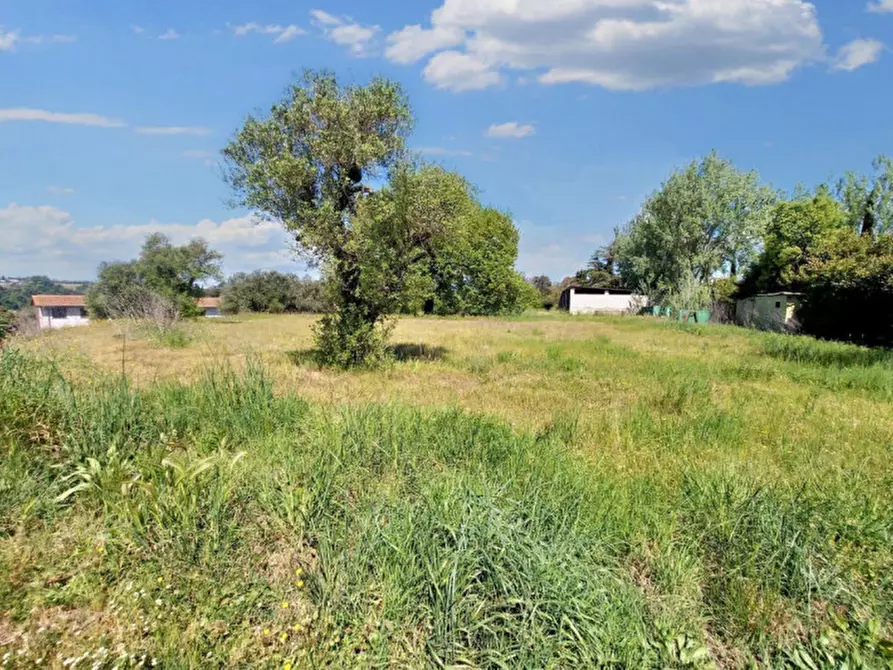 Immagine 19 di Rustico / casale in vendita  in Via della Giustiniana, N. 405 a Roma