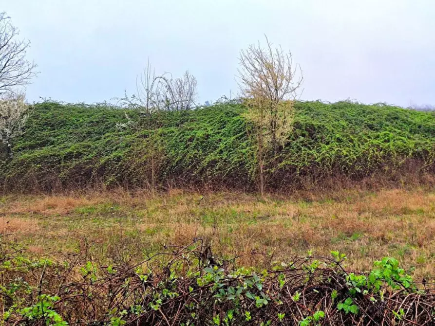 Immagine 3 di Terreno in vendita  in Via Flora Minotto, N. Snc a Zugliano