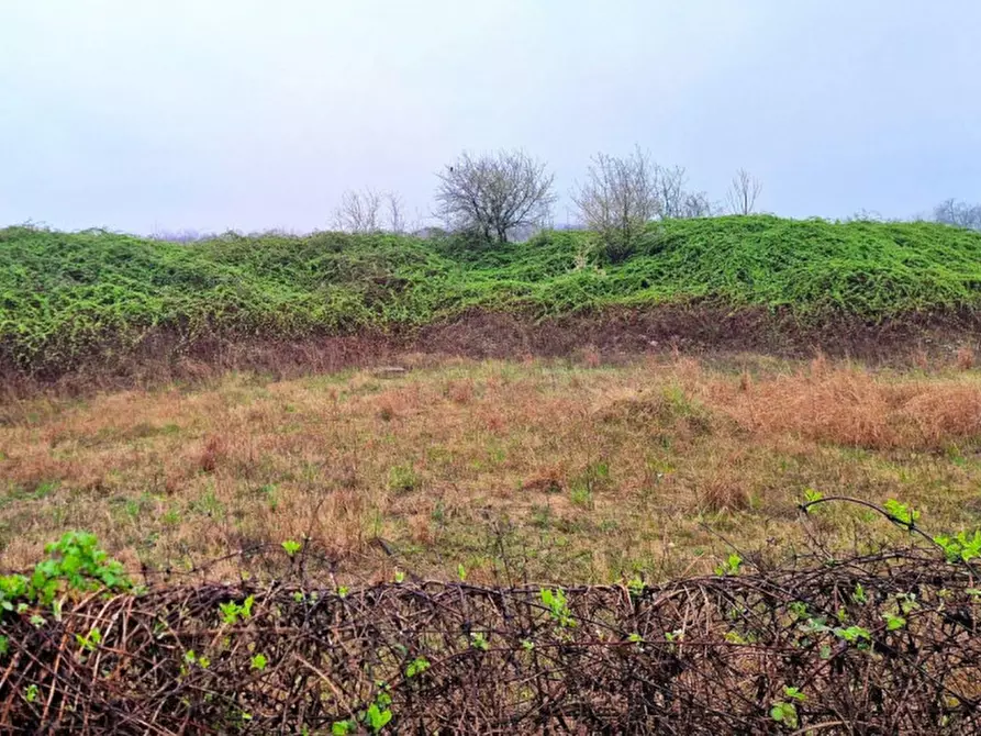 Immagine 4 di Terreno in vendita  in Via Flora Minotto, N. Snc a Zugliano