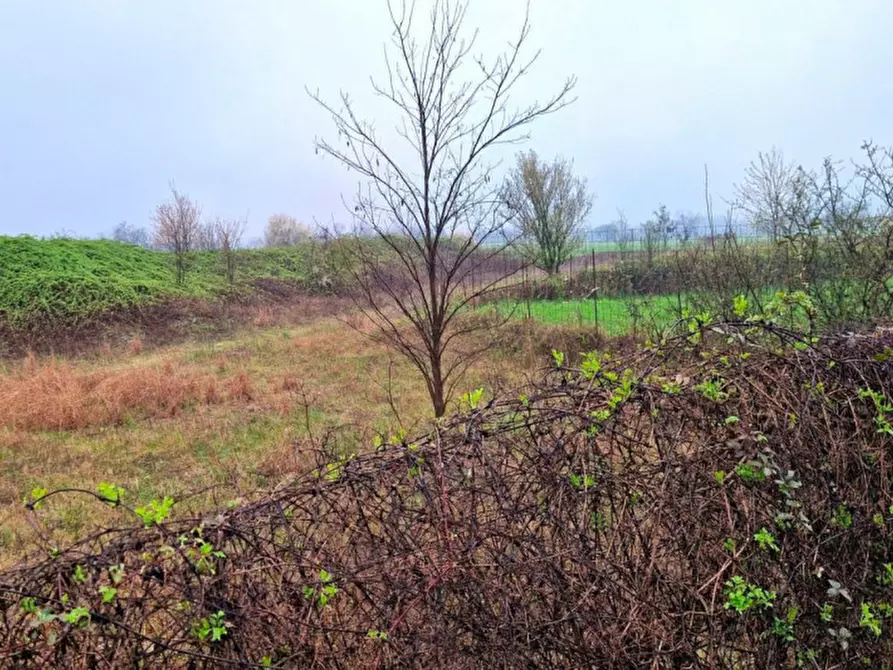 Immagine 5 di Terreno in vendita  in Via Flora Minotto, N. Snc a Zugliano