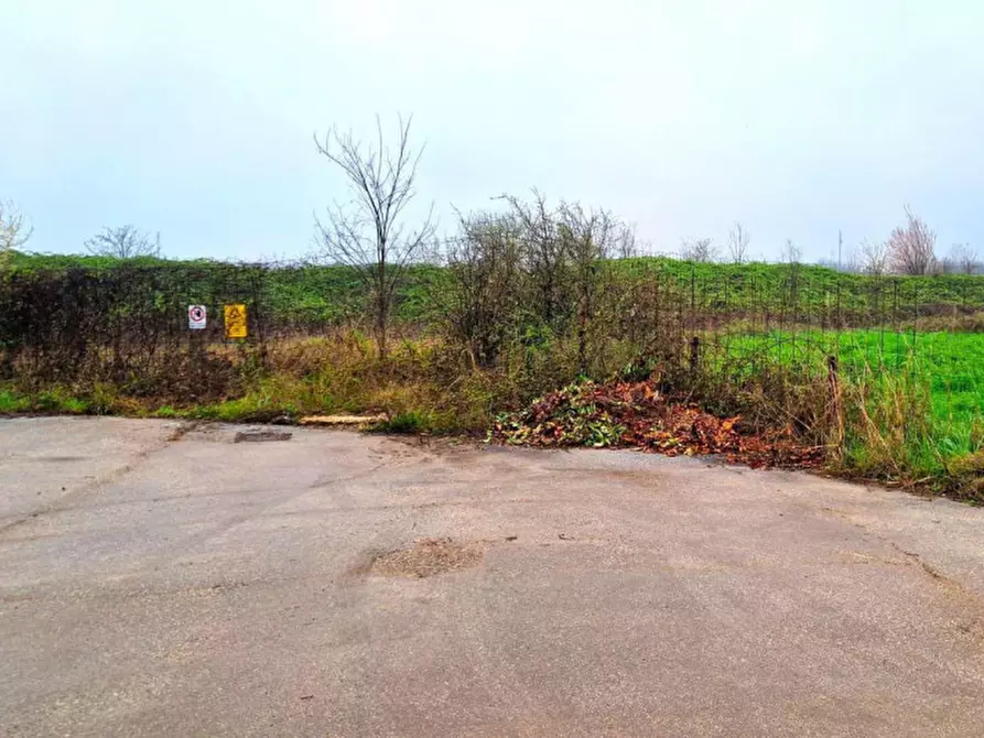 Immagine 6 di Terreno in vendita  in Via Flora Minotto, N. Snc a Zugliano