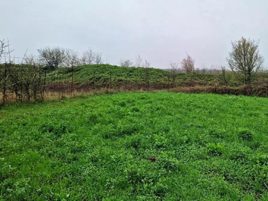 Immagine 9 di Terreno in vendita  in Via Flora Minotto, N. Snc a Zugliano