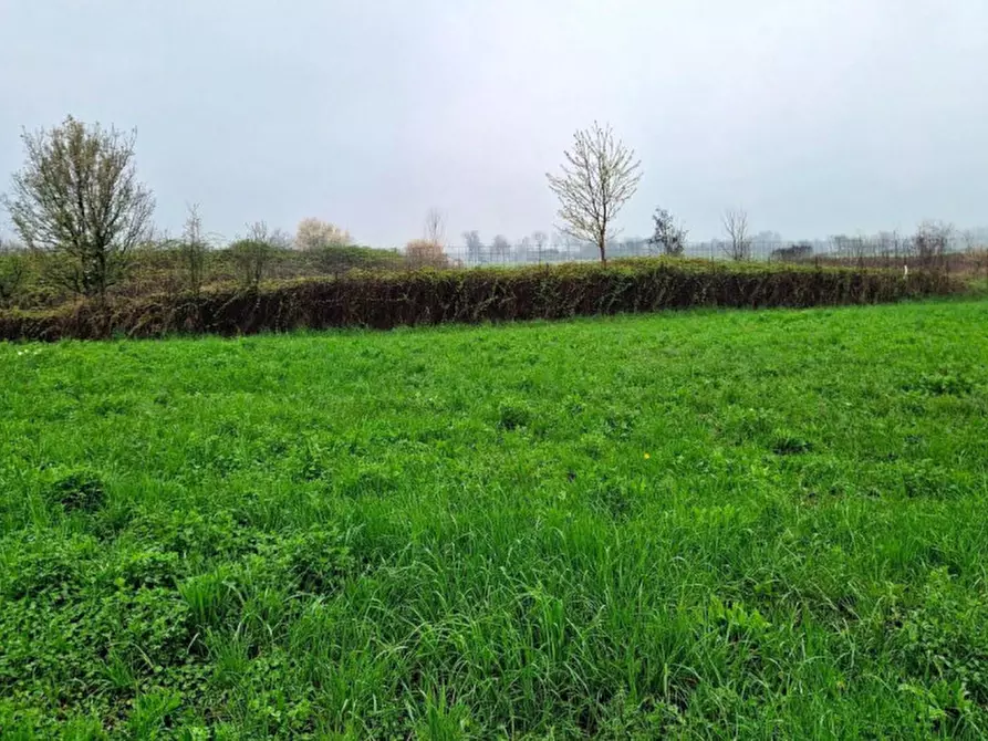 Immagine 10 di Terreno in vendita  in Via Flora Minotto, N. Snc a Zugliano