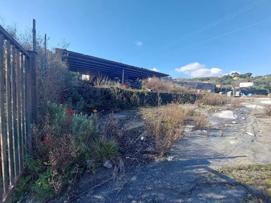 Immagine 11 di Terreno in vendita  in via Dolcedo, N. snc a Imperia