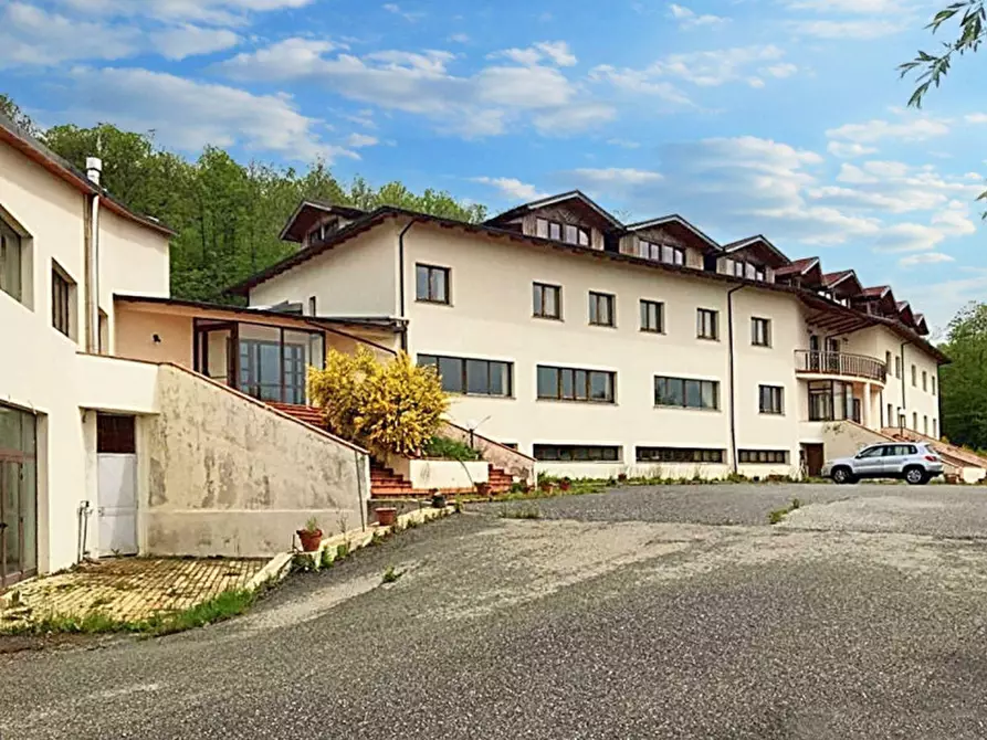 Immagine 2 di Hotel in vendita  in Contrada Santa Caterina, N. snc a Sorbo San Basile