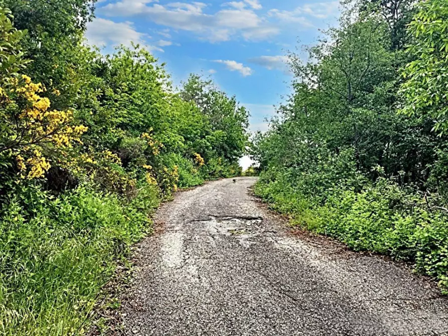 Immagine 4 di Hotel in vendita  in Contrada Santa Caterina, N. snc a Sorbo San Basile