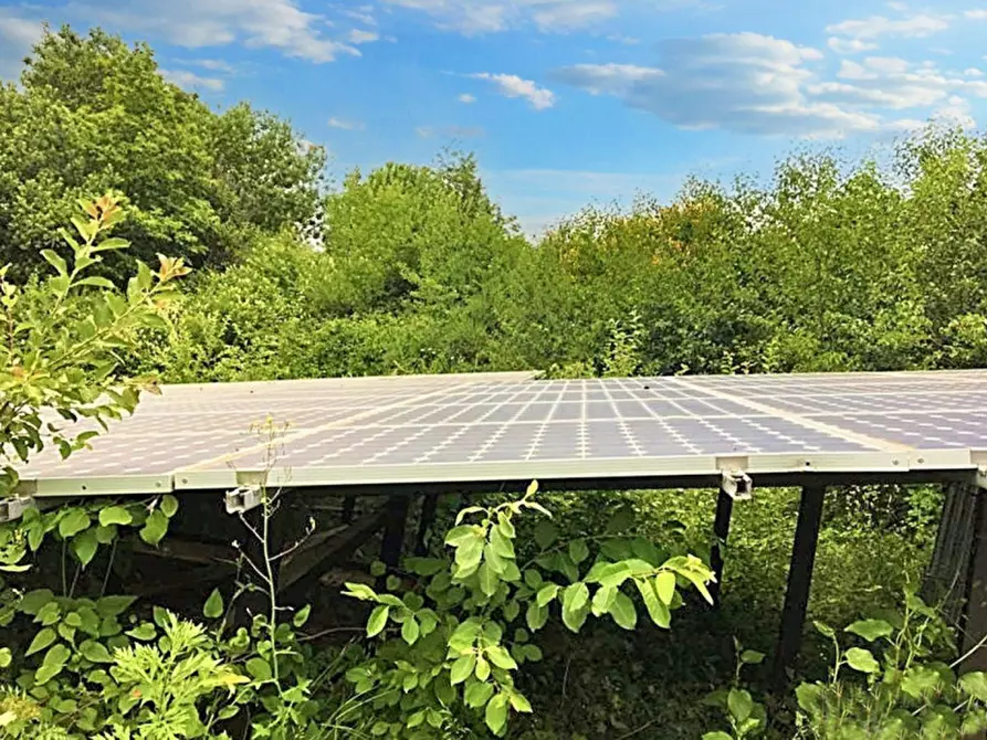 Immagine 13 di Hotel in vendita  in Contrada Santa Caterina, N. snc a Sorbo San Basile