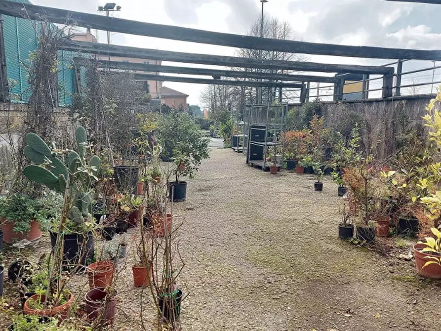 Immagine 9 di Posto auto in vendita  in Via Silvio Antoniano, N. snc a Roma