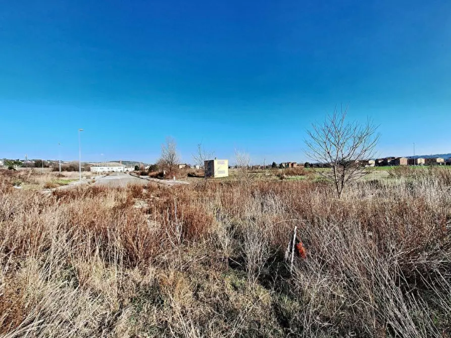 Immagine 6 di Terreno in vendita  in C. da Peschiera, N. snc a Macerata