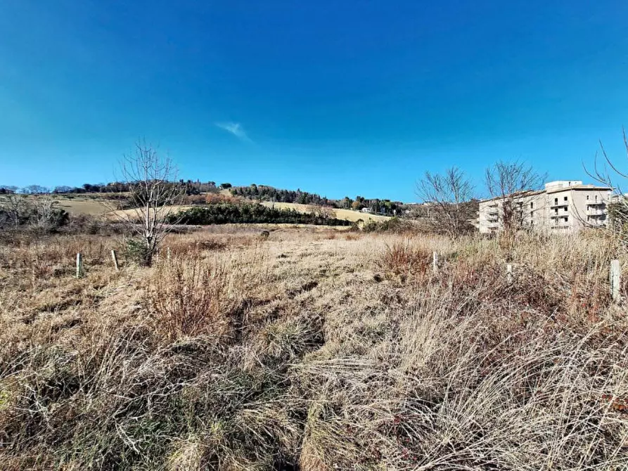 Immagine 7 di Terreno in vendita  in C. da Peschiera, N. snc a Macerata