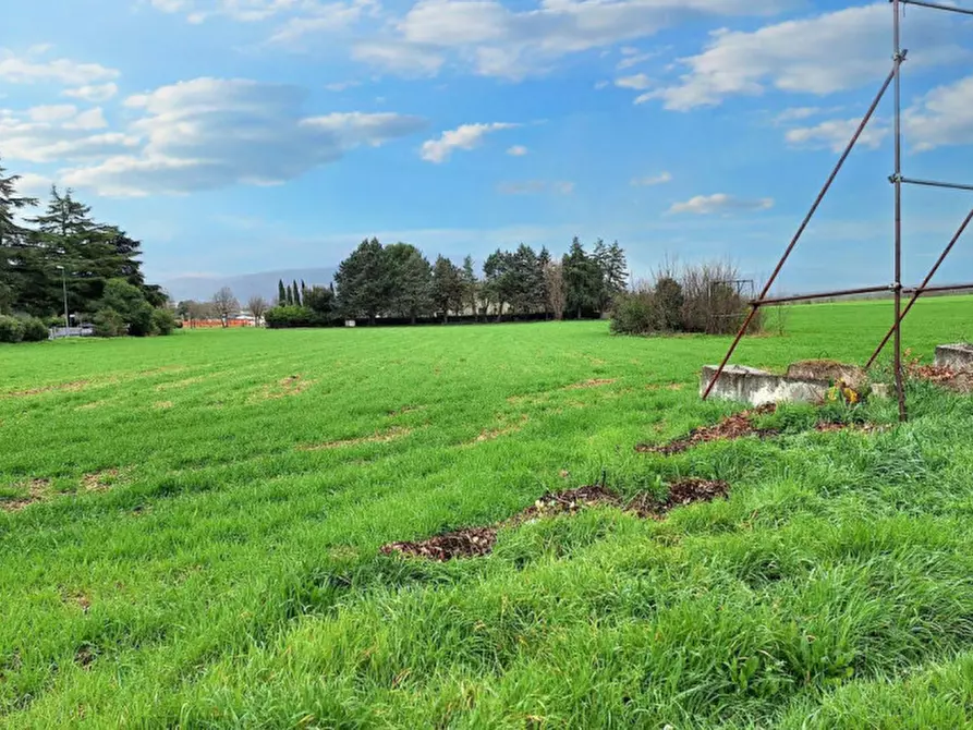 Immagine 5 di Terreno in vendita  in Via Intermezzi, N. snc a Foligno