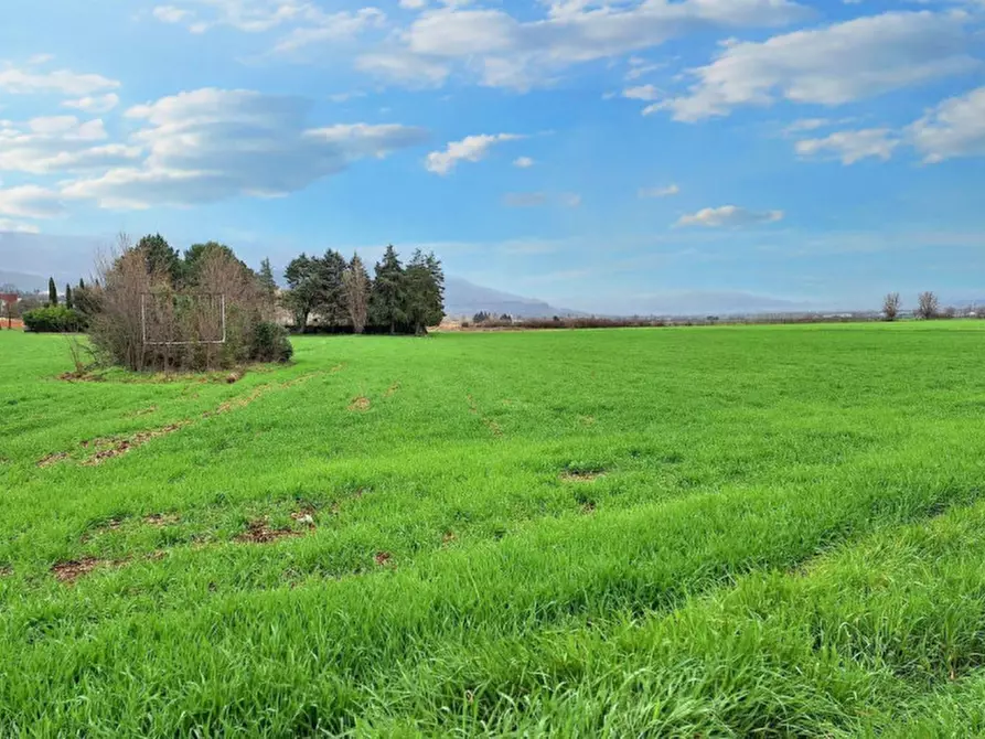 Immagine 6 di Terreno in vendita  in Via Intermezzi, N. snc a Foligno