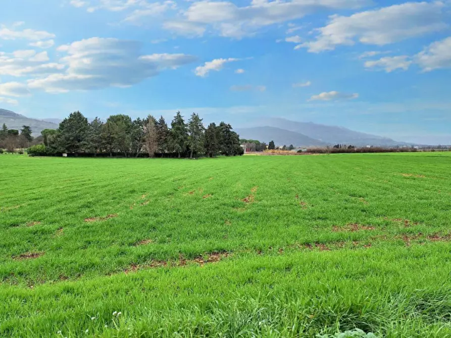 Immagine 7 di Terreno in vendita  in Via Intermezzi, N. snc a Foligno