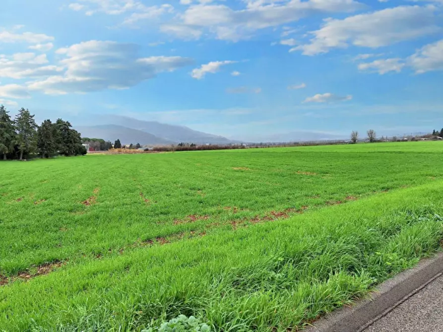 Immagine 8 di Terreno in vendita  in Via Intermezzi, N. snc a Foligno