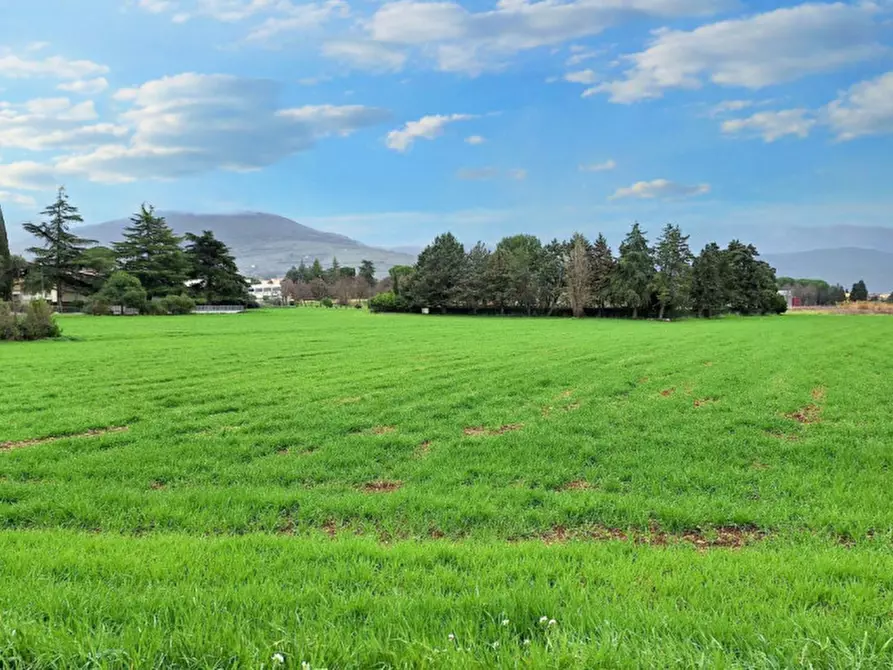 Immagine 15 di Terreno in vendita  in Via Intermezzi, N. snc a Foligno