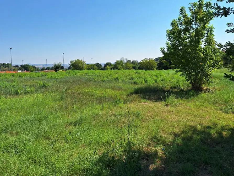 Immagine 2 di Terreno in vendita  in Via Enrico Berlinguer, N. snc a Montemarciano