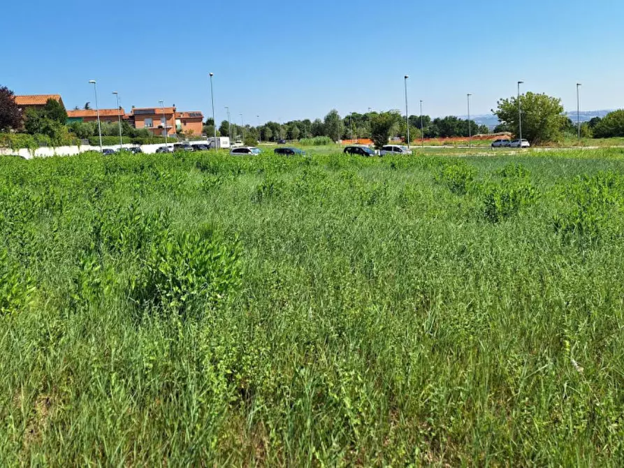 Immagine 3 di Terreno in vendita  in Via Enrico Berlinguer, N. snc a Montemarciano