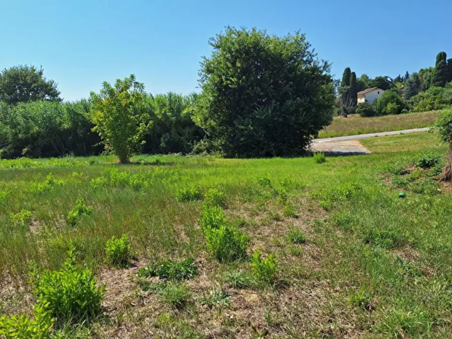 Immagine 4 di Terreno in vendita  in Via Enrico Berlinguer, N. snc a Montemarciano