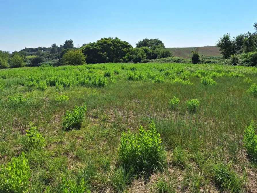 Immagine 6 di Terreno in vendita  in Via Enrico Berlinguer, N. snc a Montemarciano