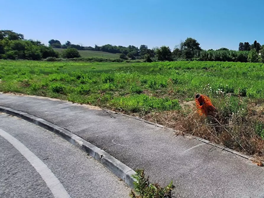 Immagine 8 di Terreno in vendita  in Via Enrico Berlinguer, N. snc a Montemarciano