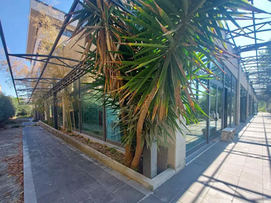 Immagine 6 di Attività commerciale in vendita  in Via Palombarese, N. Km 18,900 a Guidonia Montecelio