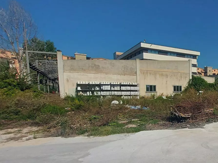 Immagine 14 di Attività commerciale in vendita  in Via Palombarese, N. Km 18,900 a Guidonia Montecelio