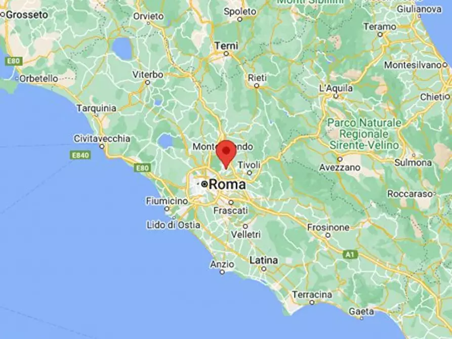 Immagine 30 di Attività commerciale in vendita  in Via Palombarese, N. Km 18,900 a Guidonia Montecelio