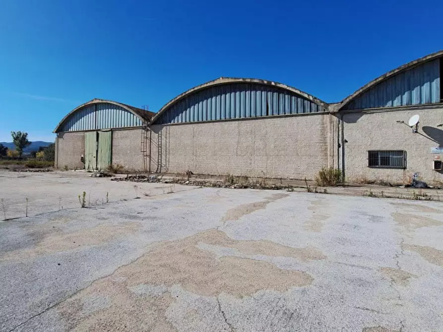 Immagine 3 di Capannone industriale in vendita  in Via Assisi, N. 104 a Cannara
