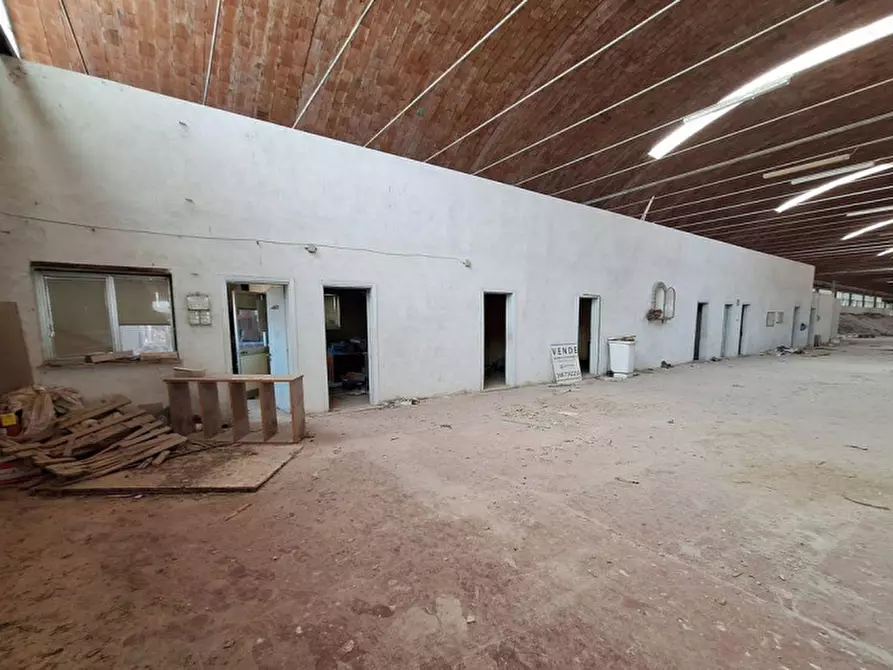 Immagine 6 di Capannone industriale in vendita  in Via Assisi, N. 104 a Cannara